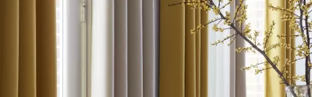 l l